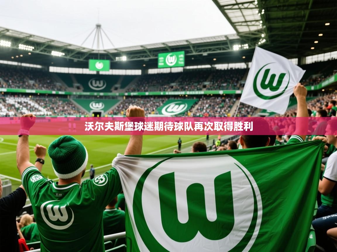 2025 迈博体育娱乐沃尔夫斯堡球迷期待球队再次取得胜利  第2张