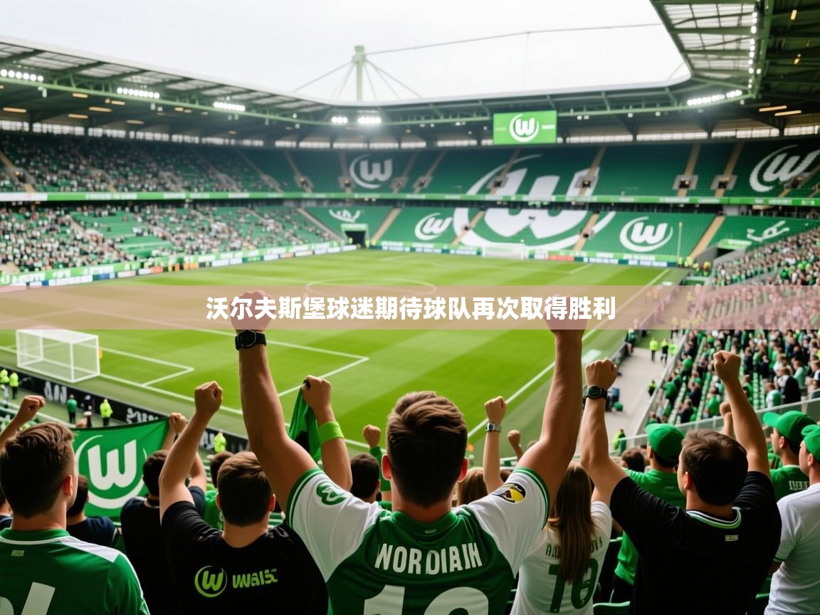 2025 迈博体育娱乐沃尔夫斯堡球迷期待球队再次取得胜利  第3张