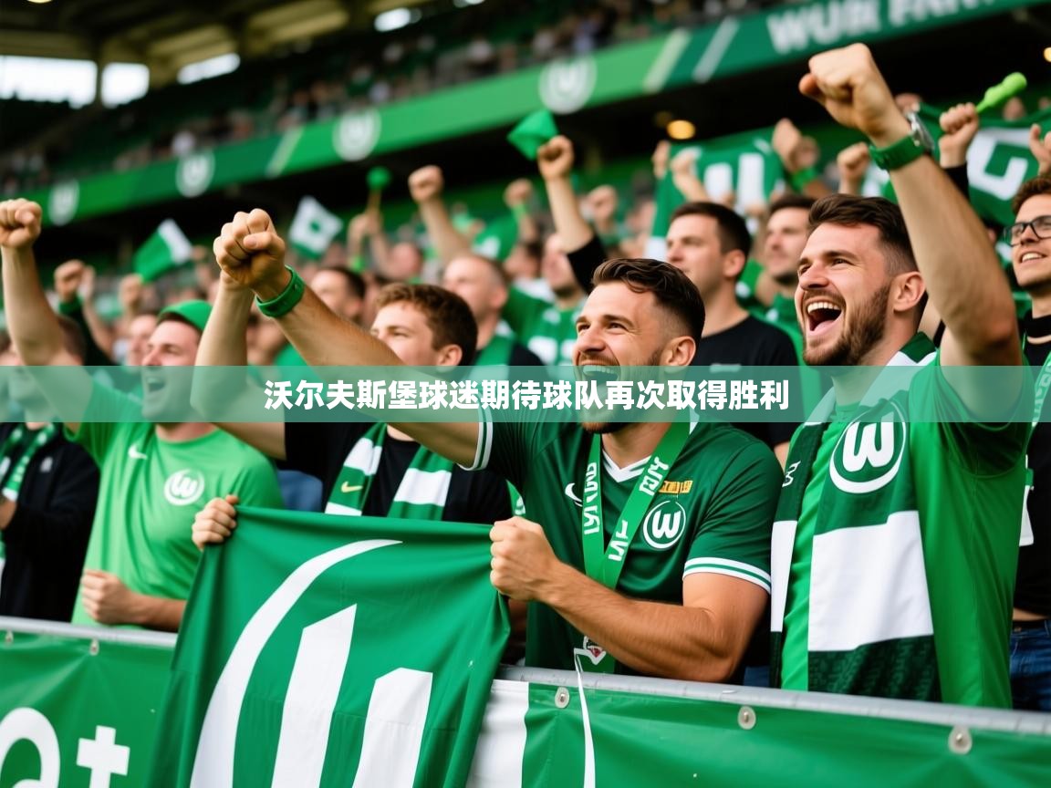 2025 迈博体育娱乐沃尔夫斯堡球迷期待球队再次取得胜利  第4张