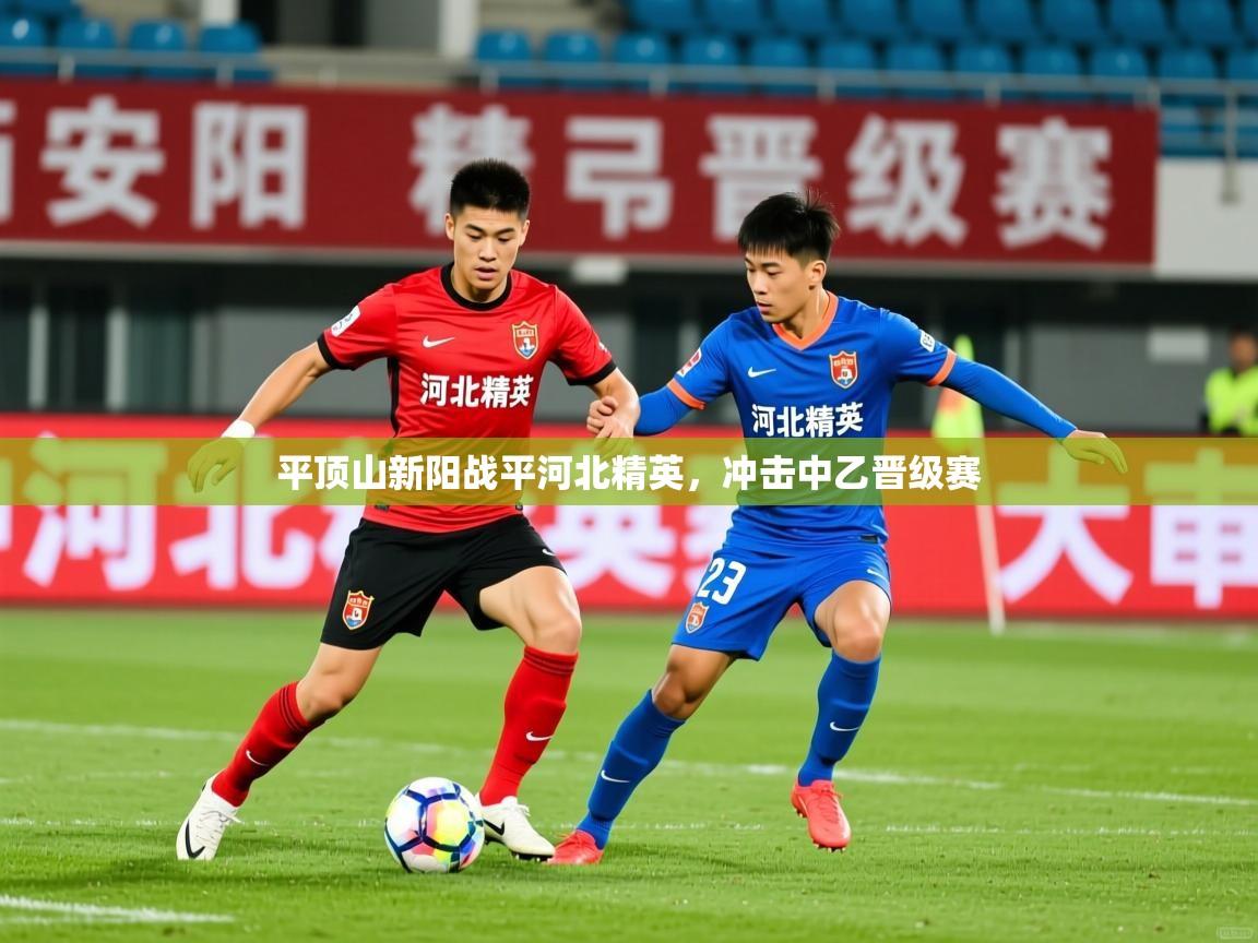 2025 迈博体育娱乐平顶山新阳战平河北精英，冲击中乙晋级赛